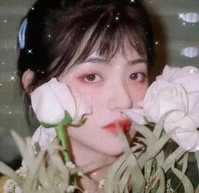 花好月又圆