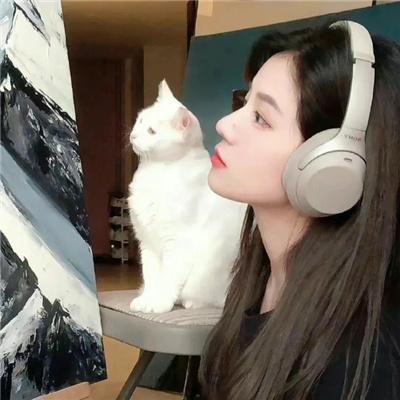 媒运当头